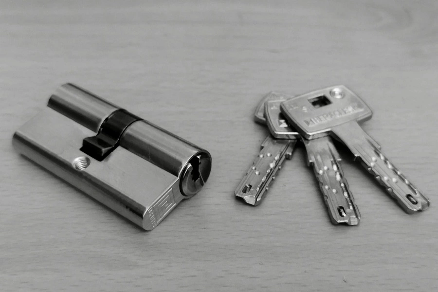 Cylindre de serrure de haute sécurité à profil européen